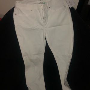 Lakeview Denim Alex Skinny Jean NWT